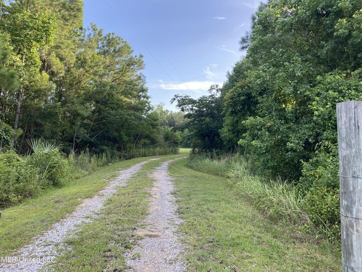 Property Photo: 1441 Blue Meadow Road MS 39520