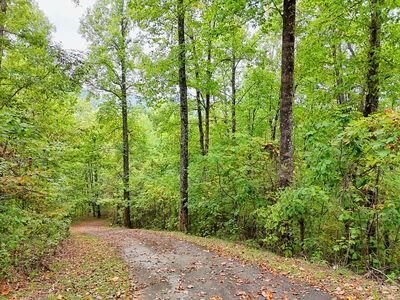 Property Photo: Lot 1 Skyview Drive NC 28904