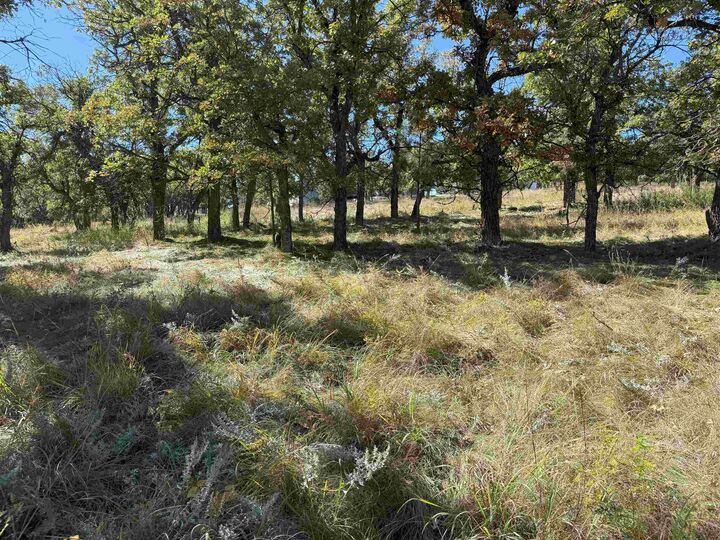 Property Photo:  Lot 24 Ridgefield Loop  SD 57783-8807 