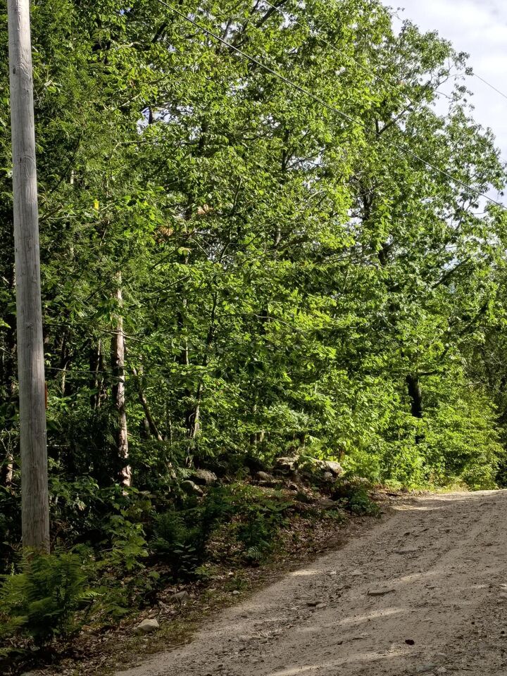 R13/038 Weeks Road  Parsonsfield ME 04047 photo