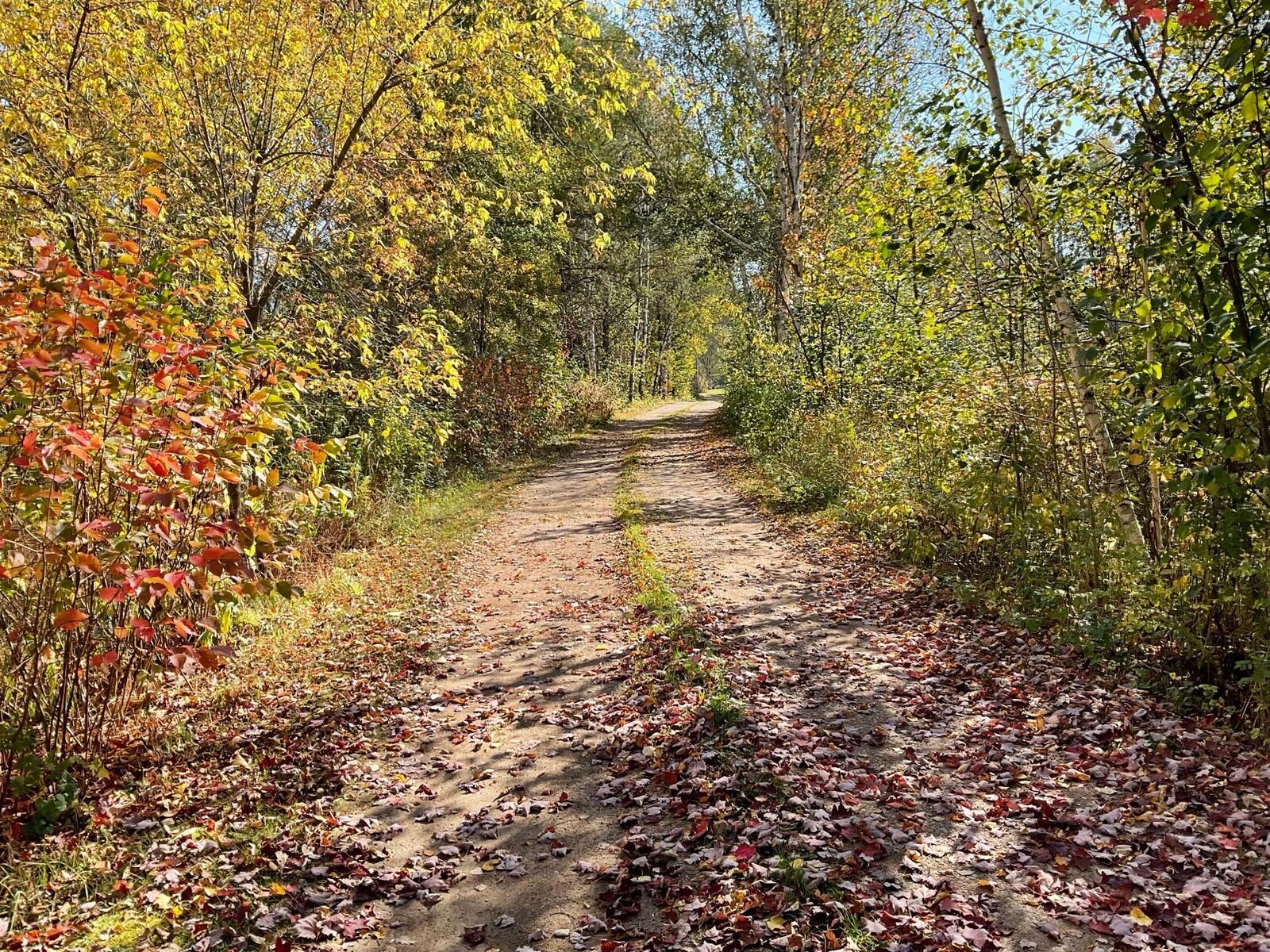 Property Photo: 56694 Williams Lane MN 55072