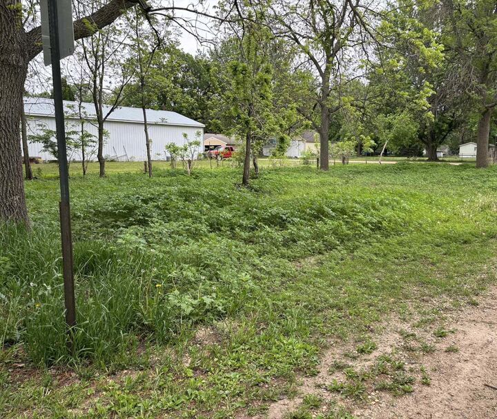 Property Photo: Tbd 266th St &Amp 539th Ave MN 55950