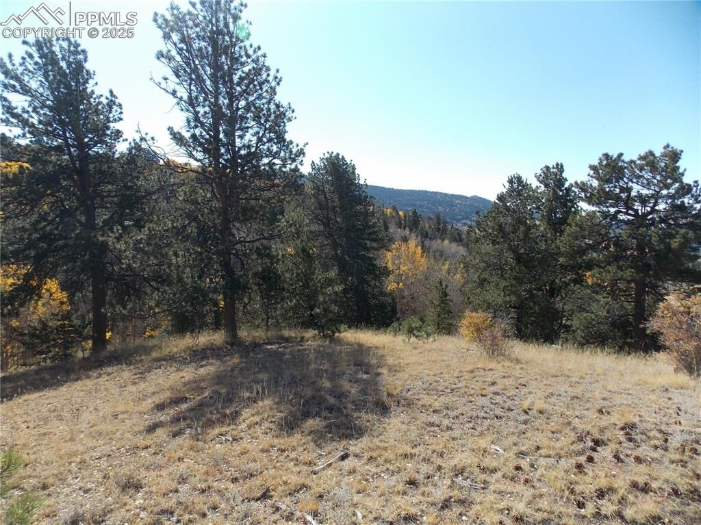 Property Photo:  1944 May Queen Drive  CO 80813 
