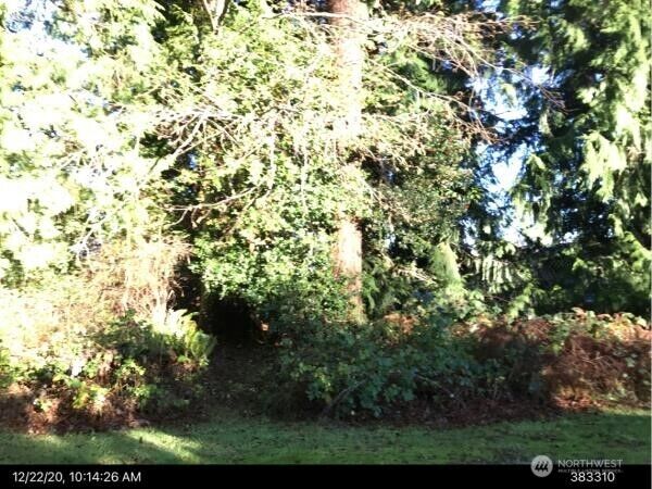 0  Primavera Place  Langley WA 98260 photo
