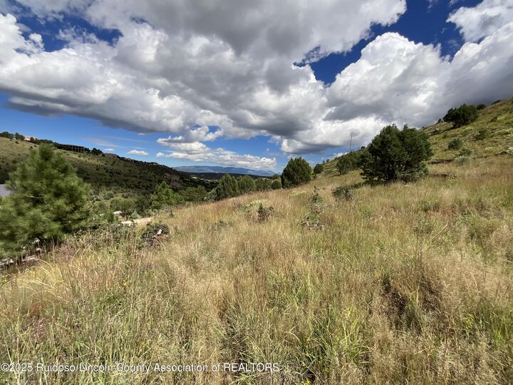 Property Photo:  Lot 88 Stable Road 3  NM 88312 