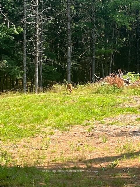 Property Photo:  942 Balmer Road  ON K0L 1A0 