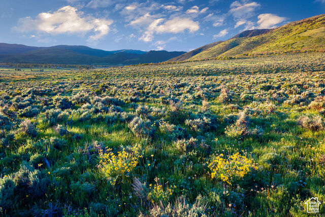 Property Photo: 1115 E Hoyt Peak Ranch Rd 4 UT 84036