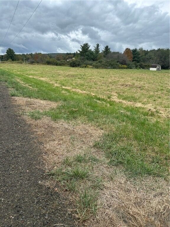 Property Photo: 0 Hornbrook Road NY 14850