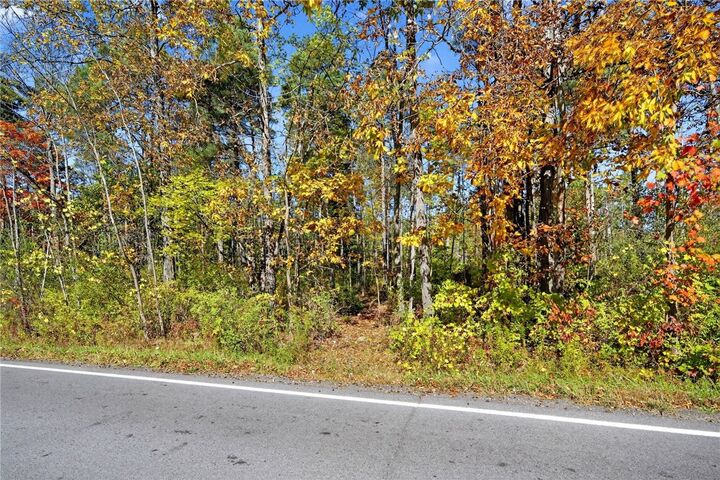Property Photo: 00 Snyder Hill Road NY 14850