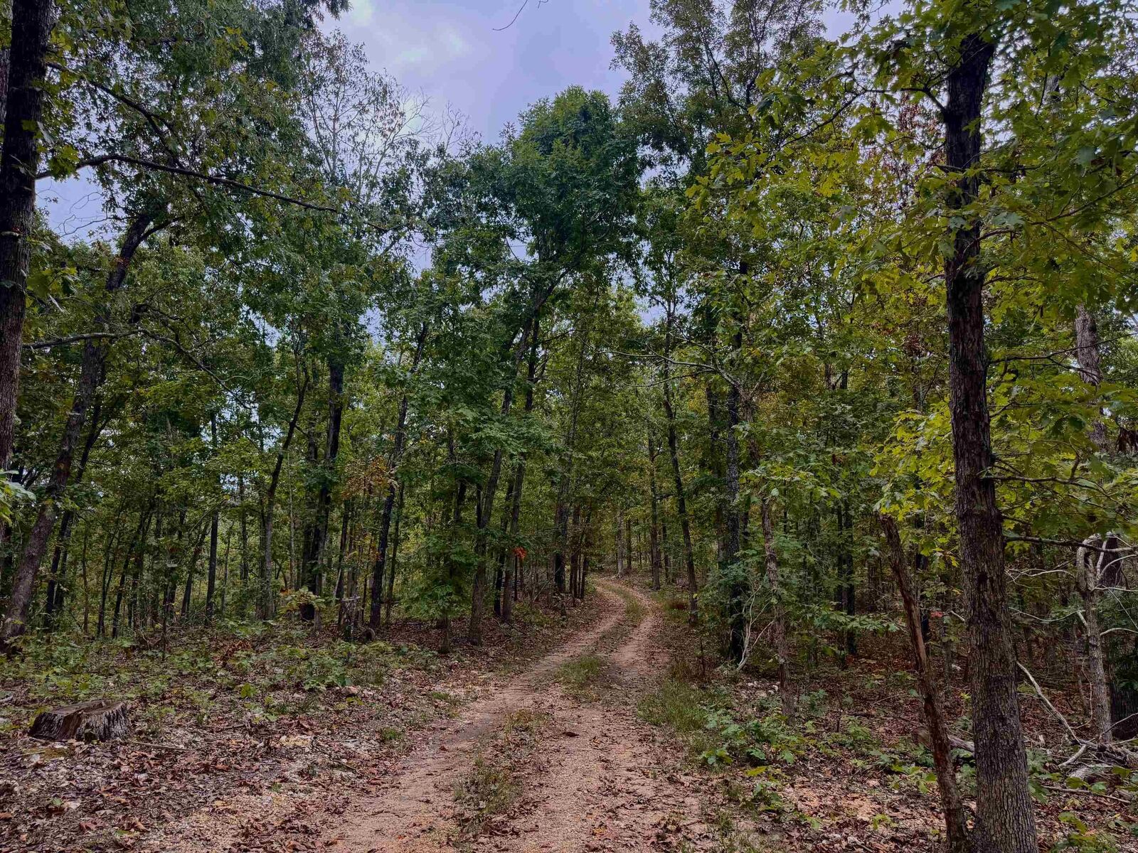 Property Photo: Xx Firetower Road AR 72542