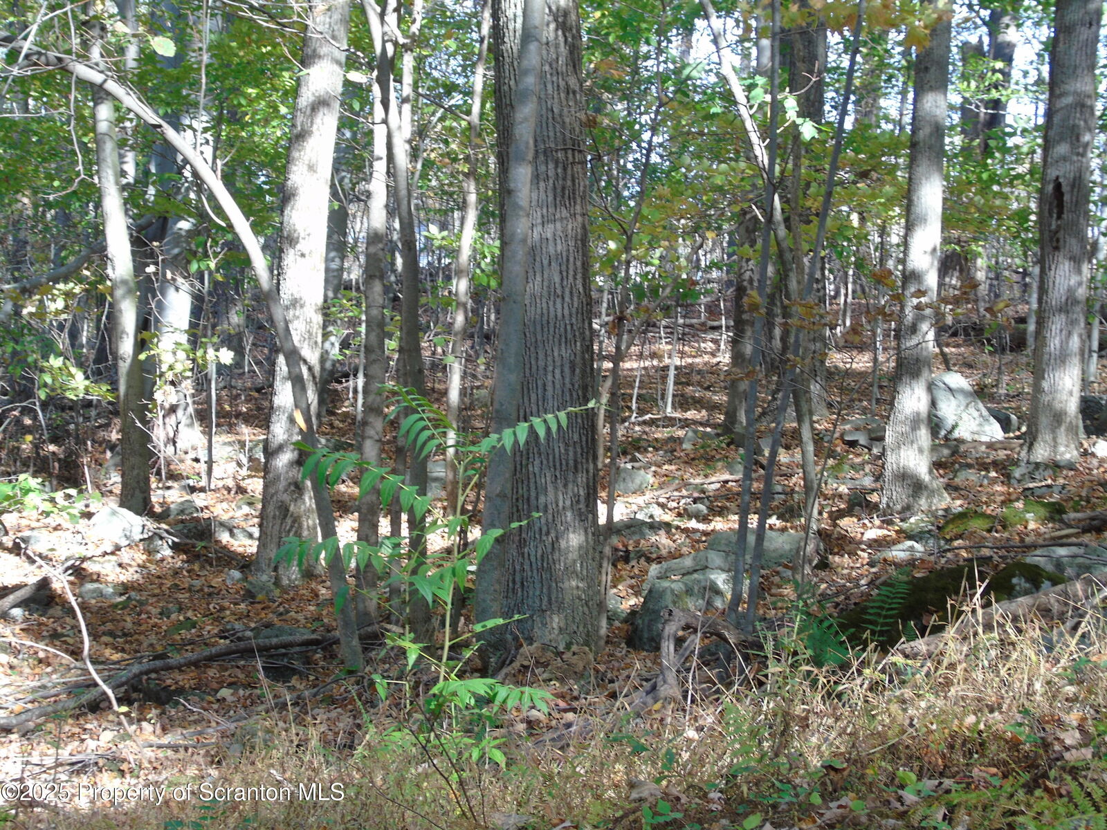 Property Photo: Deer Run PA 18444