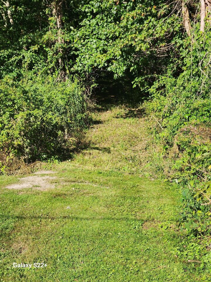 Property Photo: 2 Ac 2 Ac Off Midland Trl W Rupert, WV 25984