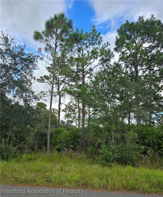 Property Photo: 234 NW Wildcat Street NW FL 33852