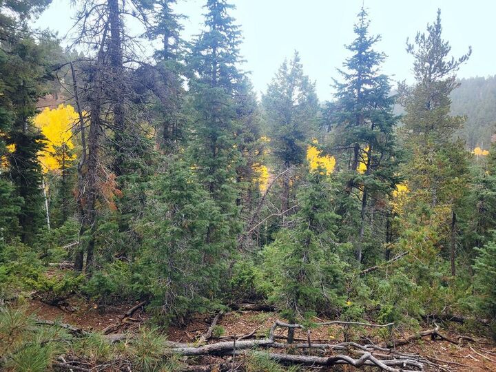 Property Photo:  45 S Quakie Place  UT 84762