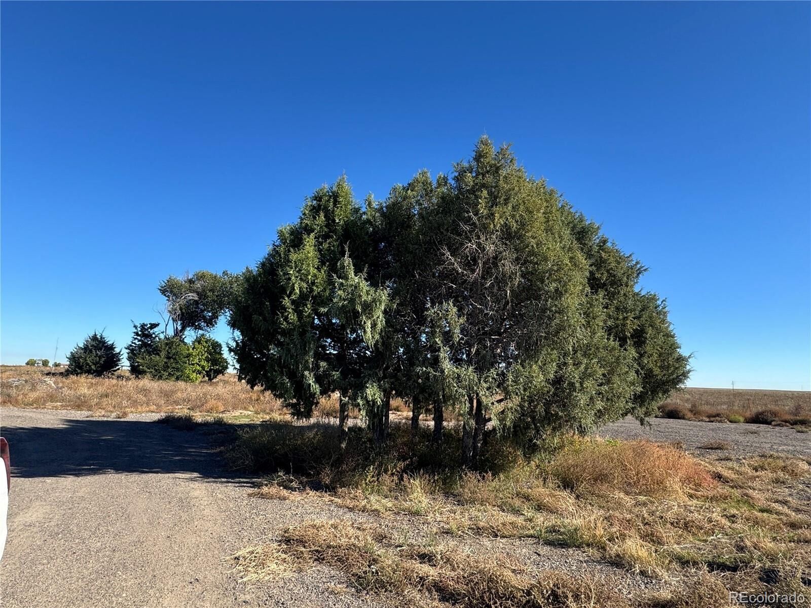 Property Photo:  0 Weld County 49  CO 80642 