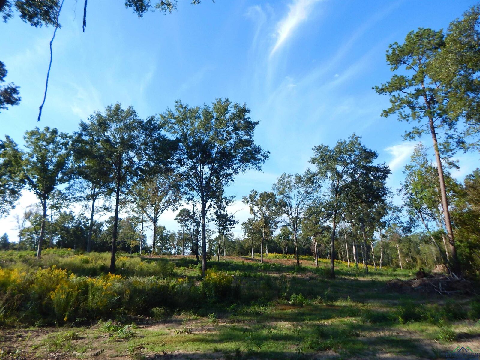 Property Photo: Tbd 7.57 Acres Hwy 259 TX 75683