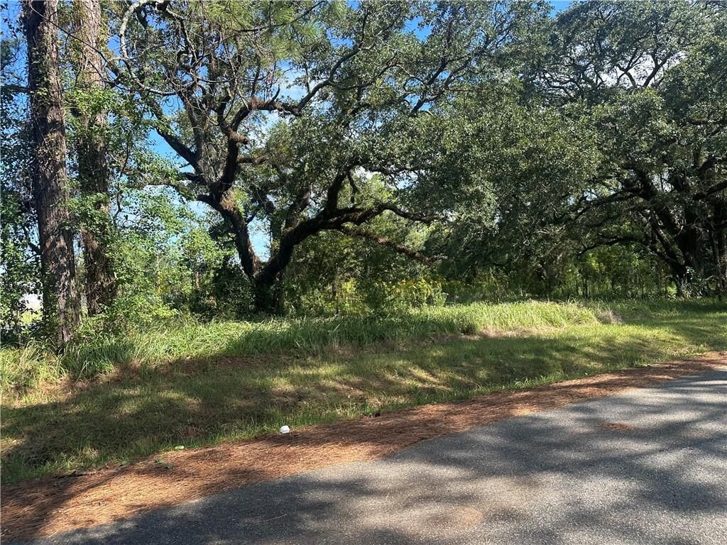Property Photo: 8916 W Alba Street AL 36509