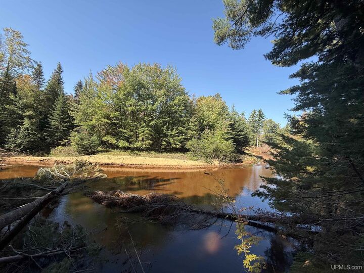 Property Photo:  18.7 Acres On Cals Dr Drive  MI 49854 