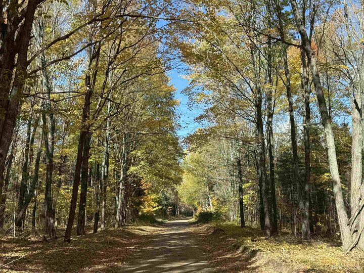 Property Photo:  1680 S Iron Pin Trail  MI 49841 