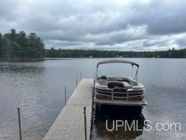 Property Photo:  7998 W Dodge Lake Road  MI 49854-0000 