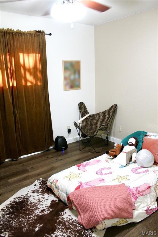 Property Photo: 104 N Missouri Avenue MO 63771
