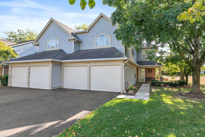 Property Photo:  133 White Branch S Court 133  IL 60194