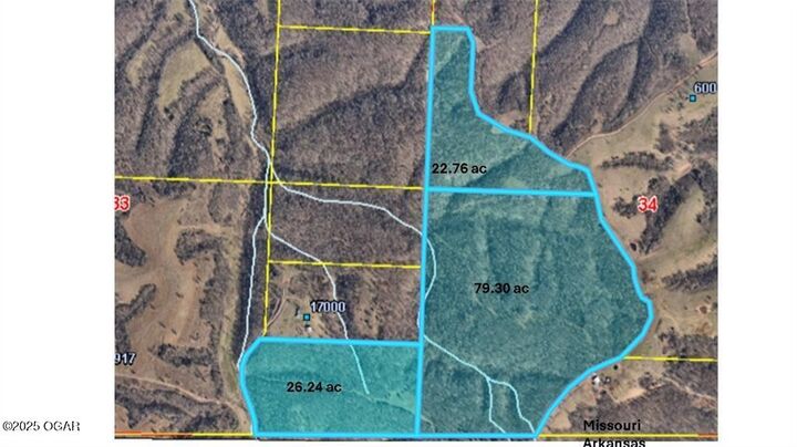 Property Photo: Tract 1 Styles Road -- MO 64854