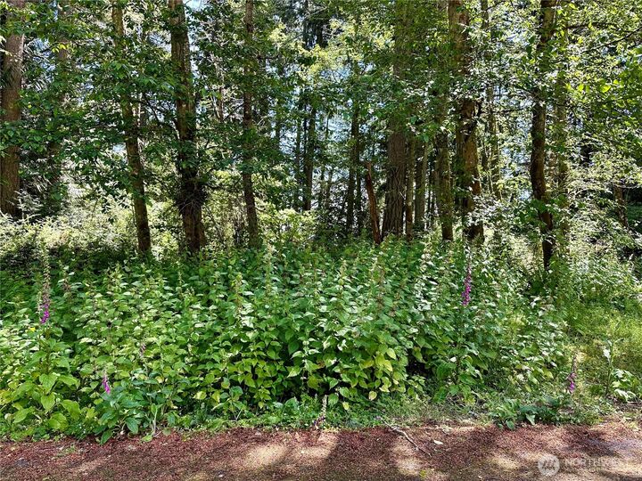 Property Photo:  10312  Matthews  WA 98303