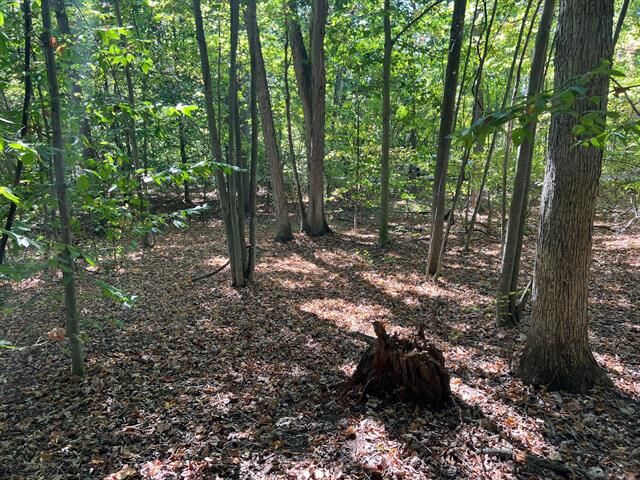 Property Photo: 000 Vl Lake Dr Lot 174/175 MI 49010