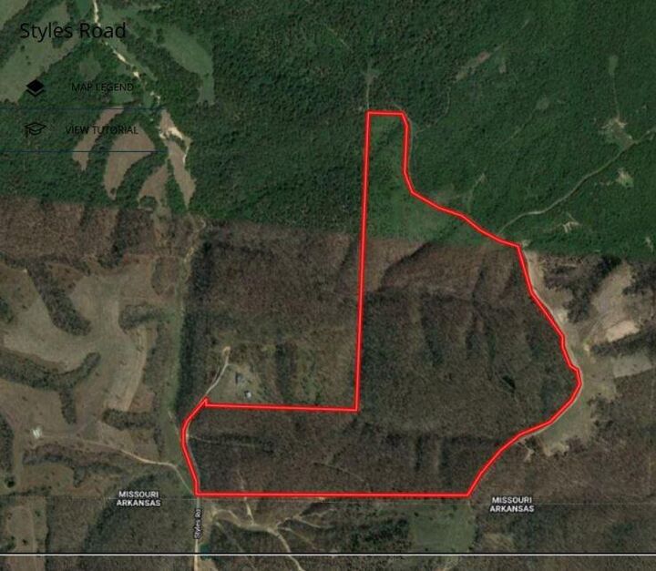 Property Photo:  Tract 10 Styles Road  MO 64854 