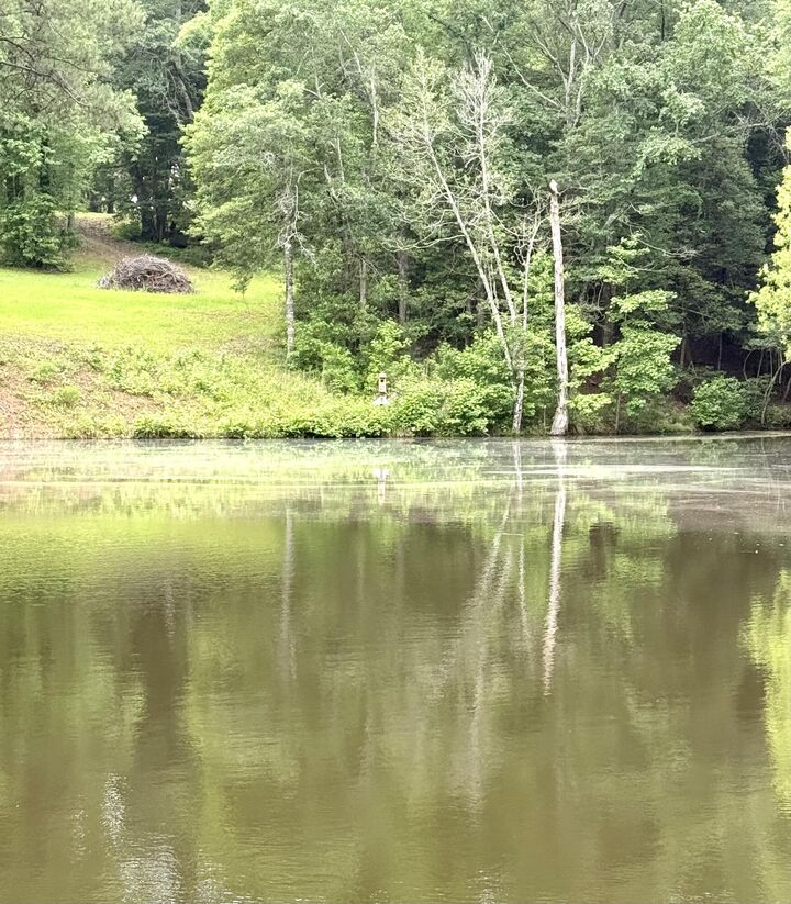Property Photo: Tbd Fort Motte Road SC 29135