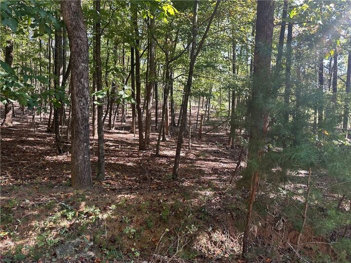 Property Photo: Lt1351 Willow Terrace GA 30143