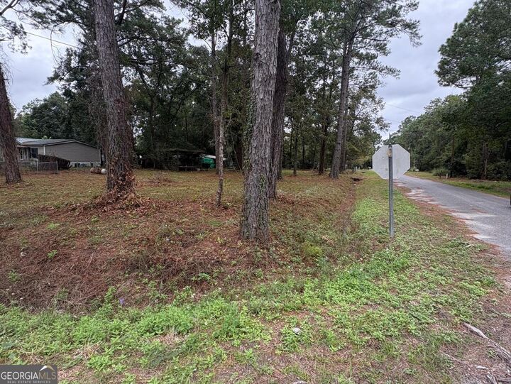 Property Photo:  102 Ritch Drive  GA 31525 