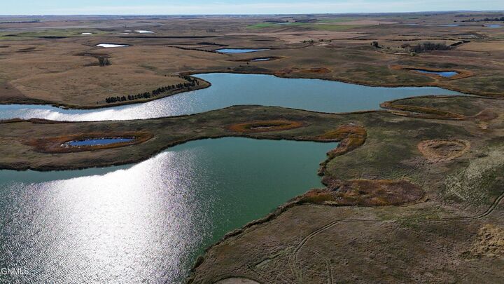 000 000  Alfred ND 58454 photo