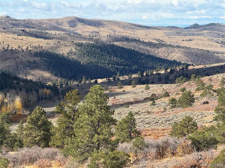 Property Photo:  284 Borman Dr  CO 81133 