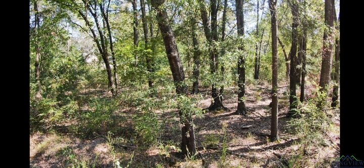 Property Photo: 119 S Olive St TX 75647