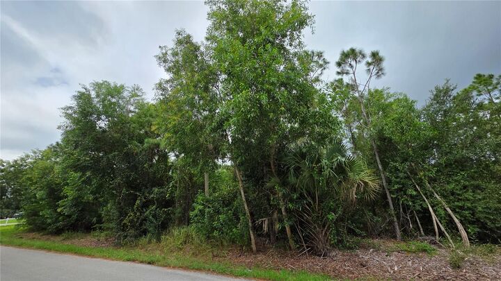 Property Photo:  12339 Cognac Drive  FL 33955 
