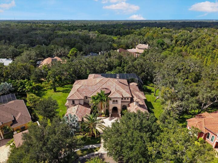 Property Photo:  16220 Ternglade Drive  FL 33547 