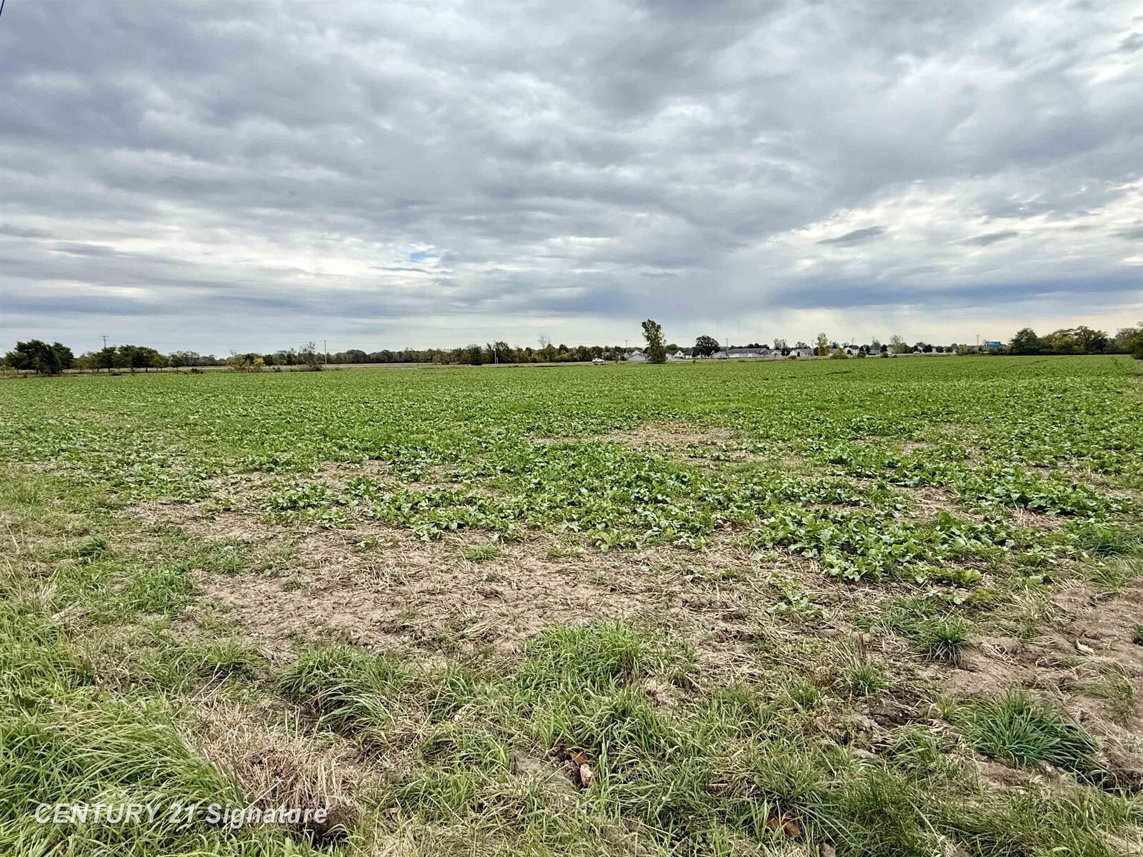 Property Photo:  Lot 1 Kloha Road  MI 48706 