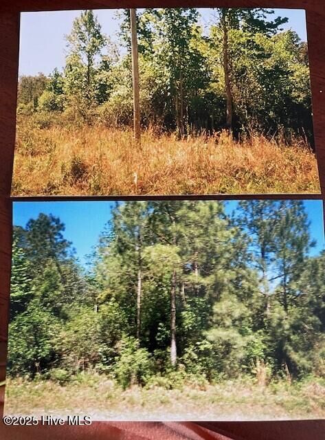 Property Photo:  599 Drayton Road  NC 28461 