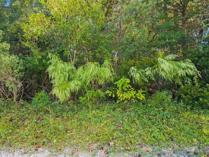 Property Photo: 2895 Jeremy Street SW NC 28462