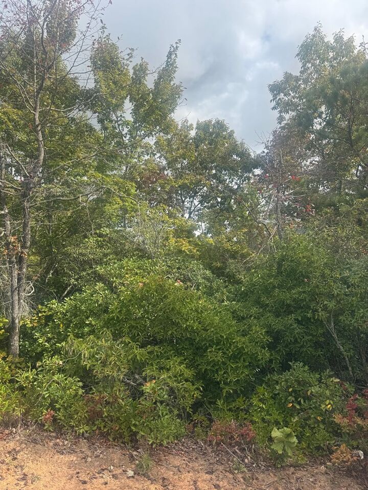 Property Photo:  Lot 16 Brown Hawk  GA 30525 