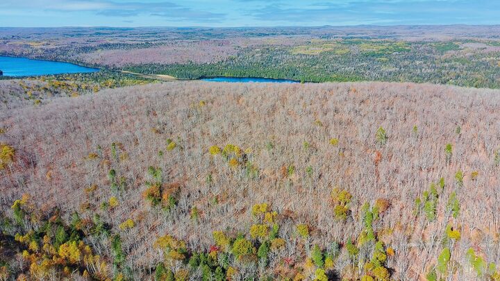 Property Photo: Xx W Deeryard Lake Rd MN 55612