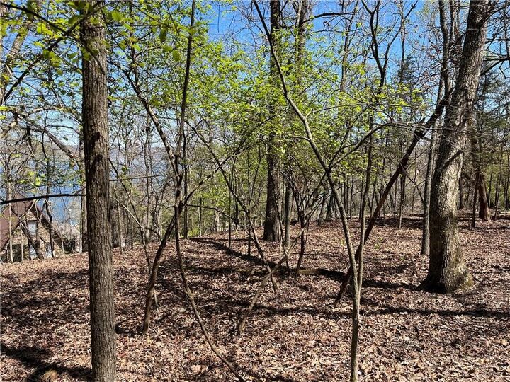 Property Photo:  Lot 12 Dogwood Drive  AR 72732 