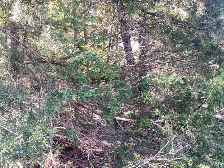 Property Photo:  Lot 86 White Oak  AR 72732 