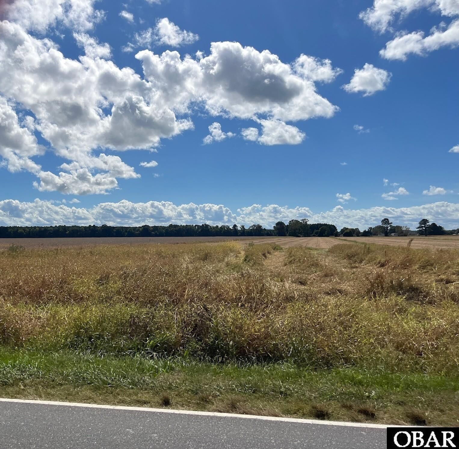 Property Photo:  0000 Simpson Ditch Road  NC 27909 