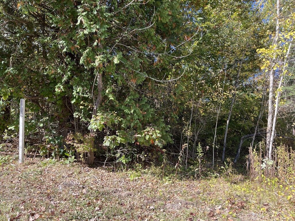 Property Photo: 0 Otis Stage Rd MA 01008