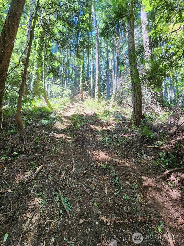 Property Photo: 545 Ellerwood St SW WA 98027