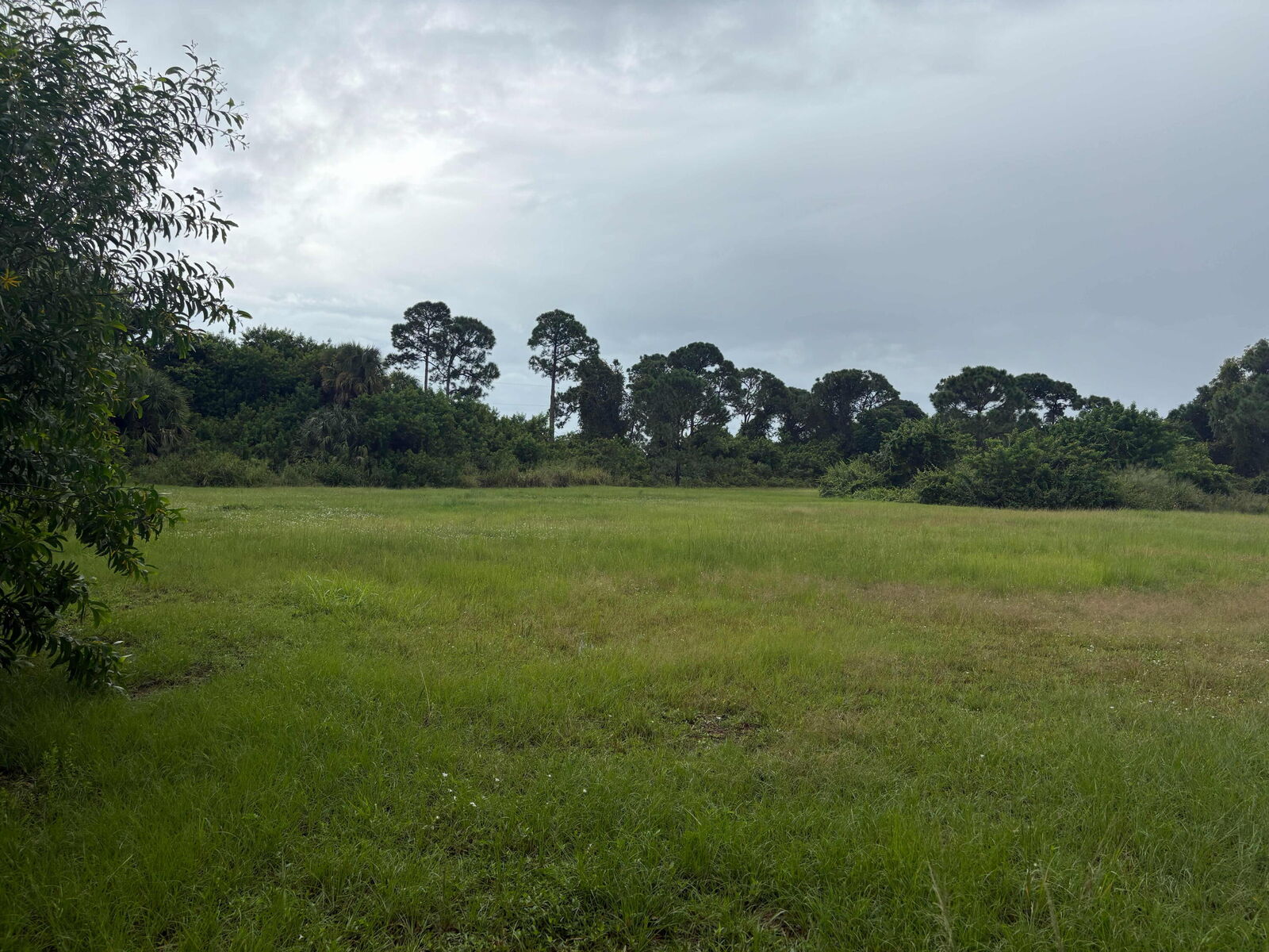 Property Photo: 2520 SE Melaleuca Boulevard FL 34952