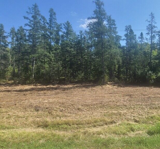 Property Photo:  Xx Hwy 77  WI 54859 